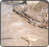 picture 1